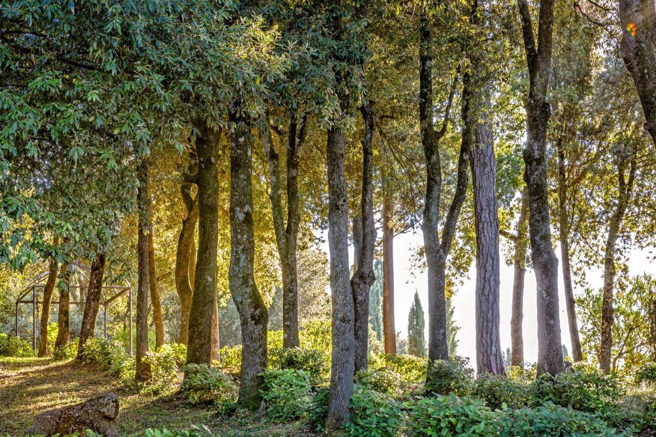 Villa Poggiano Montepulciano Stazione Dış mekan fotoğraf